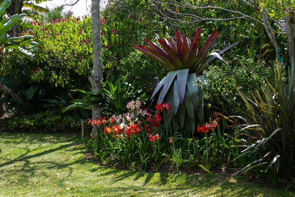 Hotel Bougainvillea San Jose Santo Domingo De Heredia المظهر الخارجي الصورة