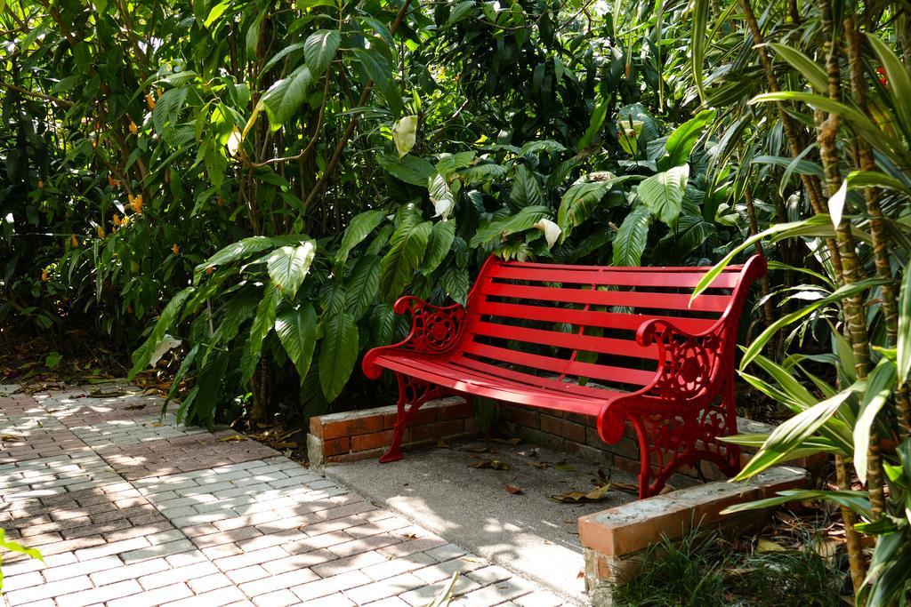 Hotel Bougainvillea San Jose Santo Domingo De Heredia المظهر الخارجي الصورة